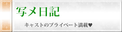 写メ日記