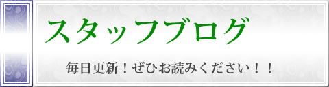 スタッフブログ